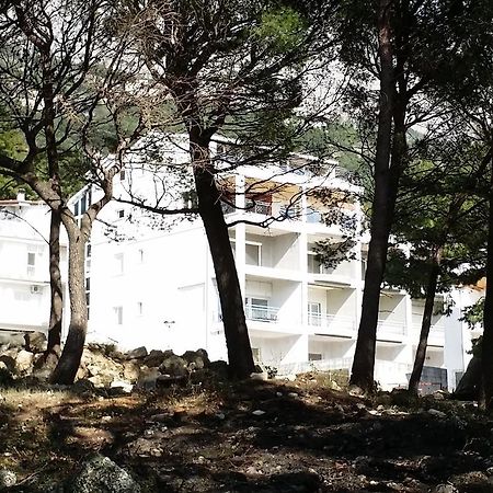 Apartments Lucija 布雷拉 外观 照片